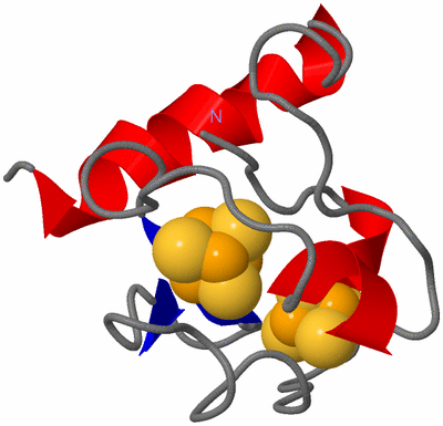 Image NMR Structure - model 1