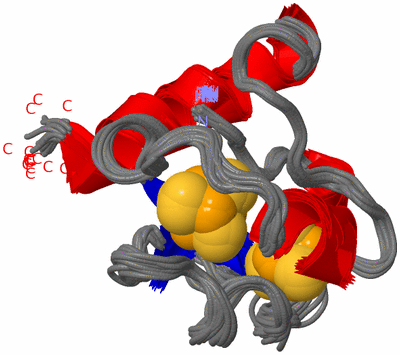 Image NMR Structure - all models