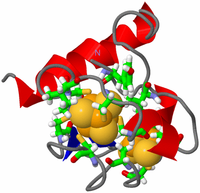 Image NMR Structure - model 1, sites