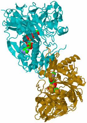 Image Asym./Biol. Unit