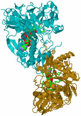 Image Asym./Biol. Unit - sites