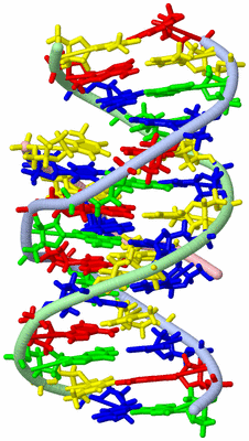 Image NMR Structure - model 1