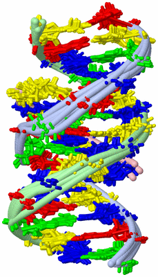 Image NMR Structure - all models