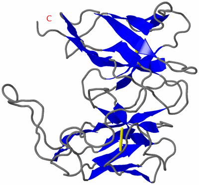 Image NMR Structure - model 1