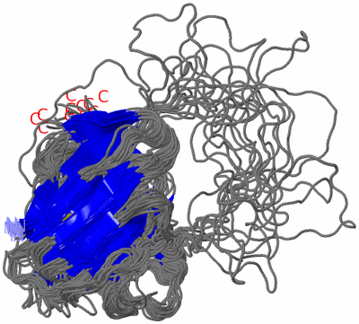 Image NMR Structure - all models