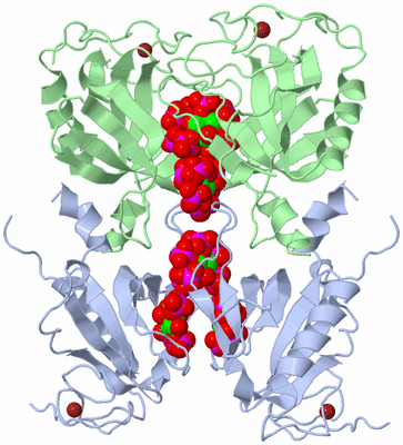 Image Biological Unit 2