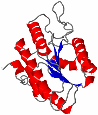 Image Asymmetric Unit