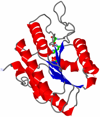 Image Asym. Unit - sites