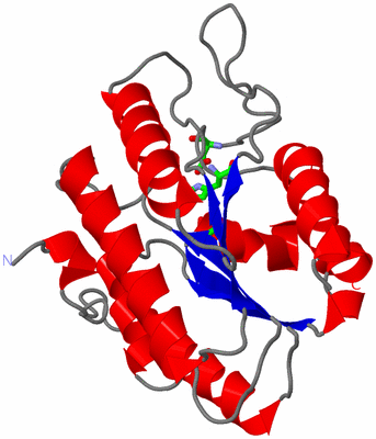 Image Asym. Unit - sites