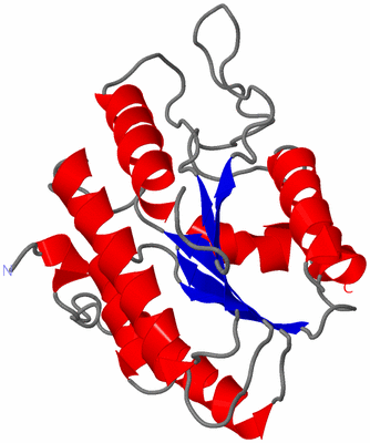 Image Asymmetric Unit