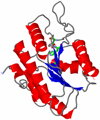 Image Asym. Unit - sites