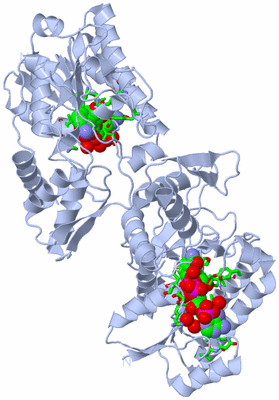 Image Biol. Unit 1 - sites