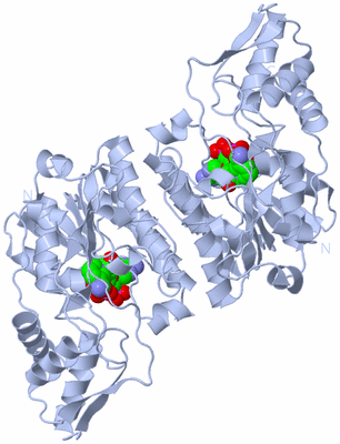 Image Biological Unit 2