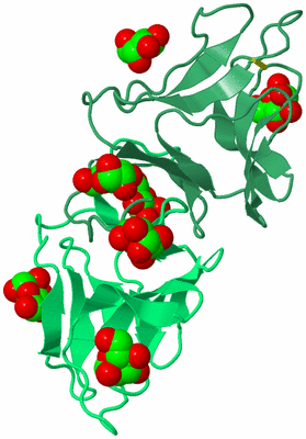 Image Biological Unit 2