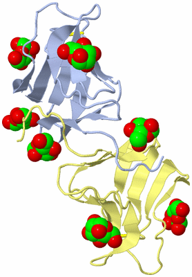 Image Biological Unit 3