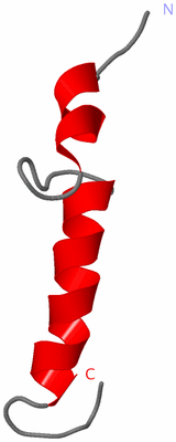 Image NMR Structure - model 1