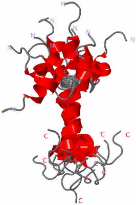 Image NMR Structure - all models