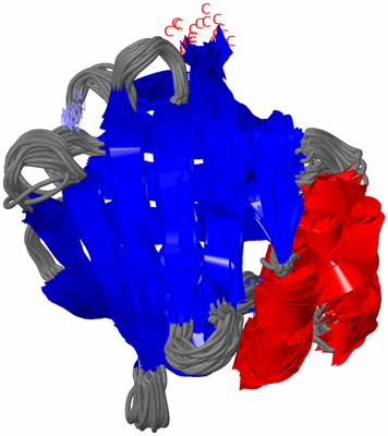 Image NMR Structure - all models