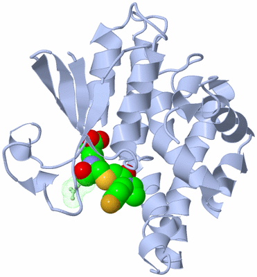 Image Asymmetric Unit