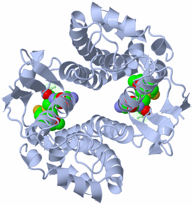 Image Biological Unit 1