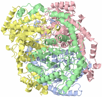Image Asym./Biol. Unit