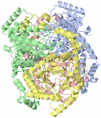 Image Asym./Biol. Unit