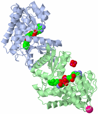 Image Asym./Biol. Unit