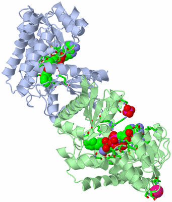 Image Asym./Biol. Unit - sites