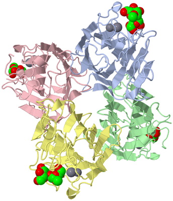 Image Asym./Biol. Unit