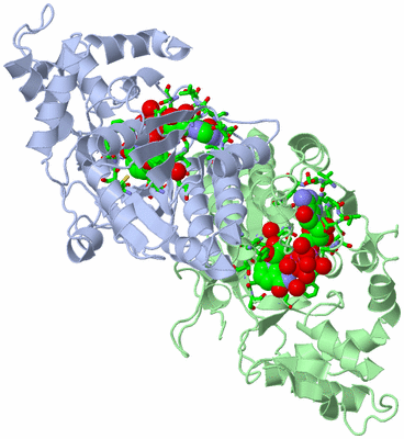 Image Asym./Biol. Unit - sites