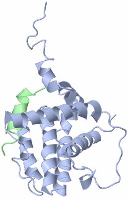 Image NMR Structure - all models