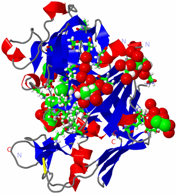 Image Asym./Biol. Unit - sites