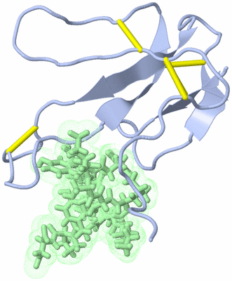 Image NMR Structure - model 1