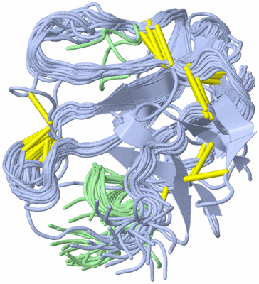 Image NMR Structure - all models