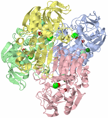 Image Asym./Biol. Unit