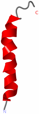 Image NMR Structure - model 1