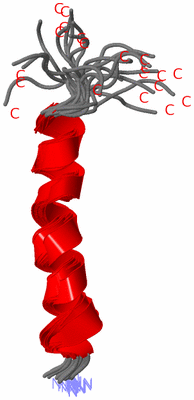 Image NMR Structure - all models