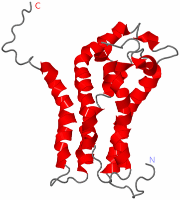 Image NMR Structure - model 1