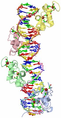 Image Asym. Unit - sites