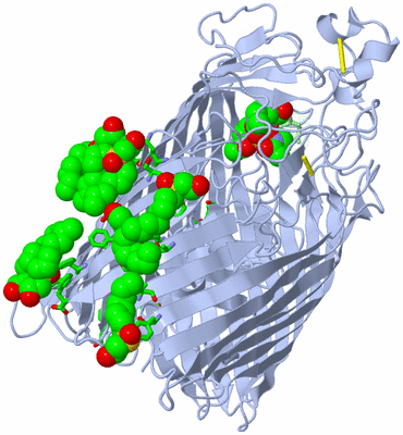 Image Asym./Biol. Unit - sites