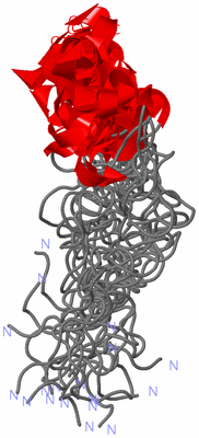 Image NMR Structure - all models