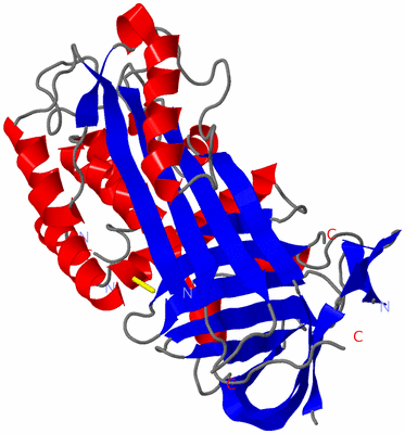 Image Asym./Biol. Unit