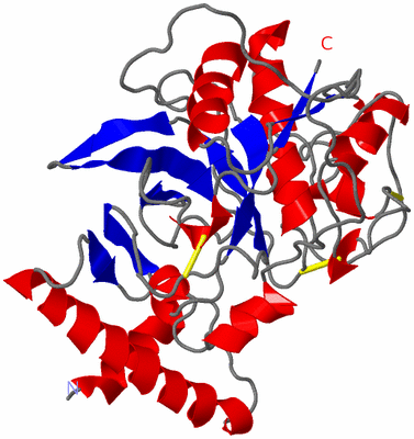 Image Asym./Biol. Unit