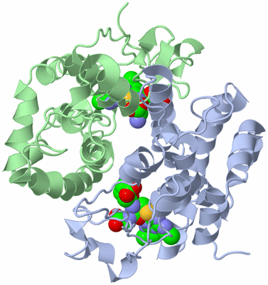 Image Biological Unit 1