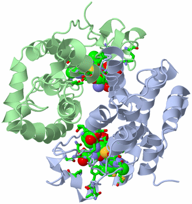 Image Biol. Unit 1 - sites