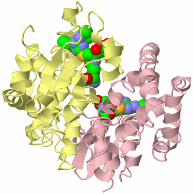 Image Biological Unit 2