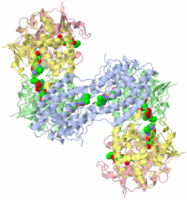 Image Biological Unit 3