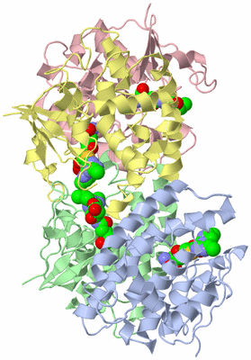 Image Biological Unit 4