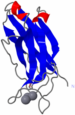 Image NMR Structure - model 1