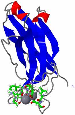 Image NMR Structure - model 1, sites